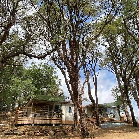 Les Chalets Des Iles Борго Екстериор снимка